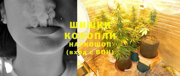 эйфоретик Гусев