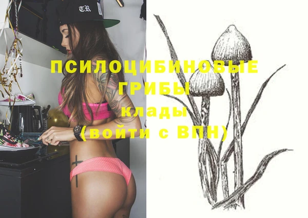 эйфоретик Гусев