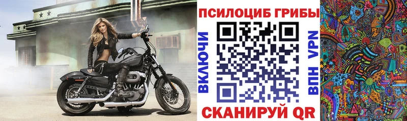 Галлюциногенные грибы Psilocybe  Бирюч 